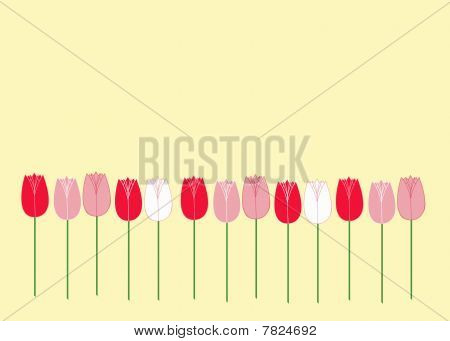 Tulipány na žluté