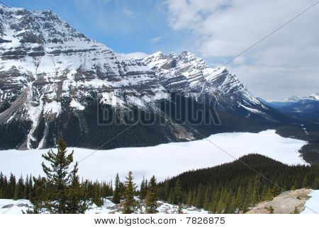 Peyto Lake