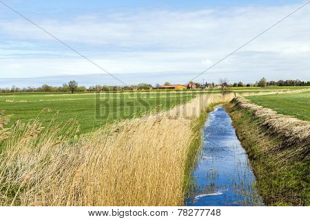Achterwasser In Usedom At The Baltic Sea