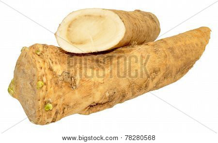 Horseradish Root
