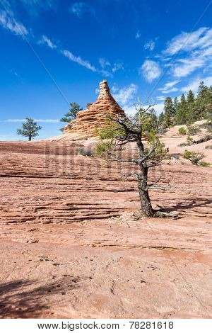 Sandstone Formations