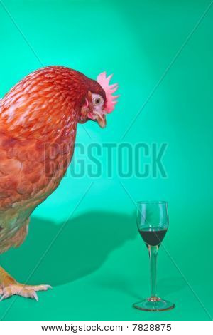 飲むか飲むには、こと。