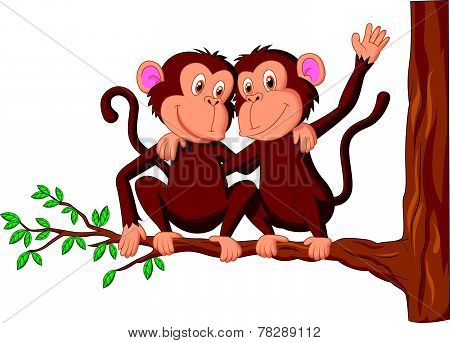 Two monkeys sitting on a tree