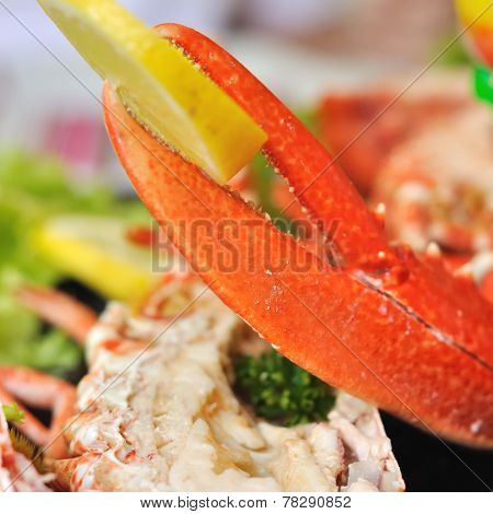 Lobster Claw