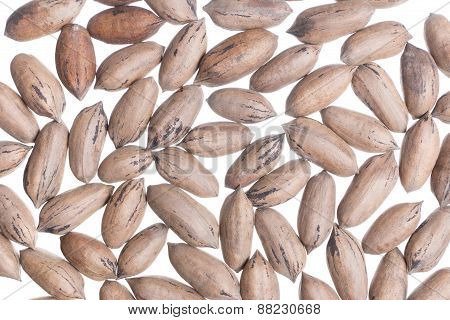 American Nuts Background