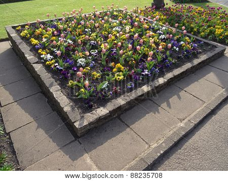 Colourful Flower Bed Pathway