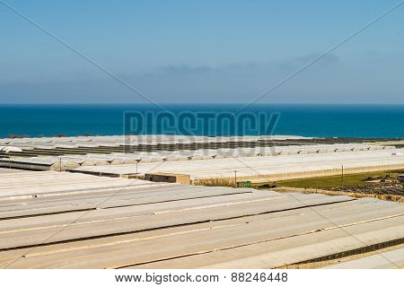 Greenhouse Landscape
