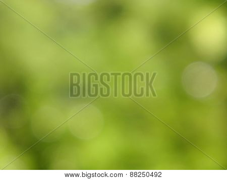 Green blurred background