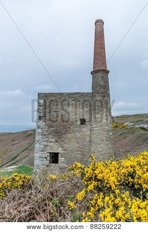 Rinsey head