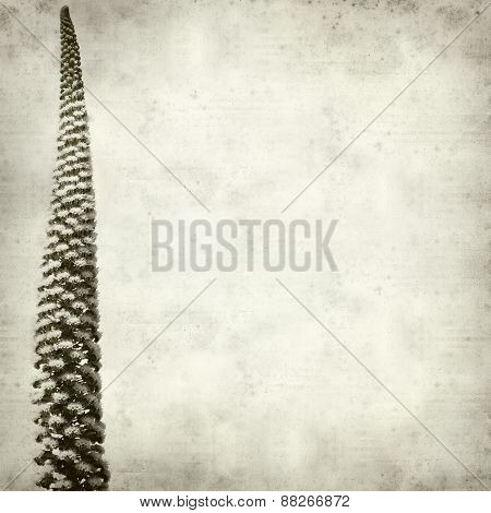 Textured Old Paper Background