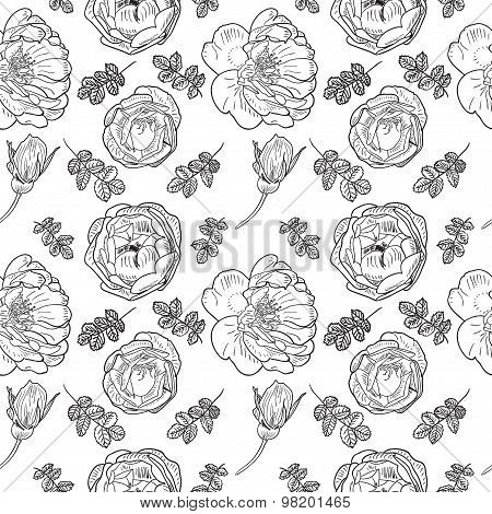 Briar rose sketch seamless