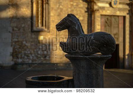 Taormina Fountain Horse By Vincenzo Cacopardo