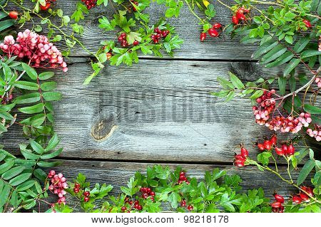 Autumnal Background