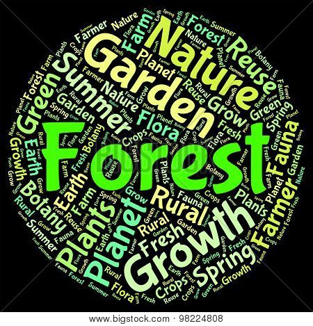 Forest Word Indicates Copse Copice And Text