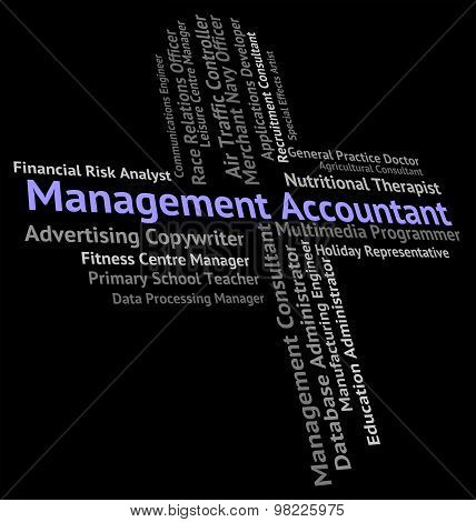 Management Accountant Indicates Balancing The Books And Accountants