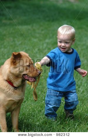 Bambino giocando con il cane