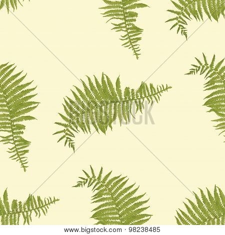 seamless vector pattern with fern leaves