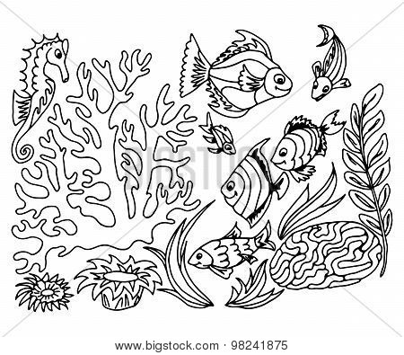 Hand Draw Set Of Different Marina Creatures