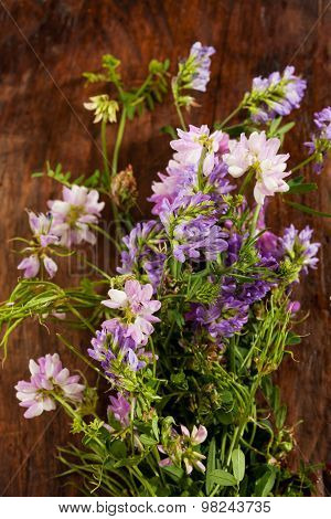Wild Flowers, Crown Vetch And Tufted Vetch