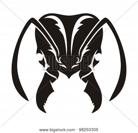 ant head