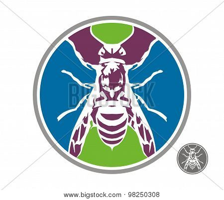 bees wasps colors circle