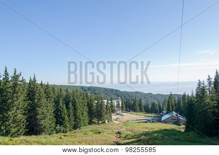 Mountain