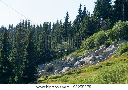 Mountain