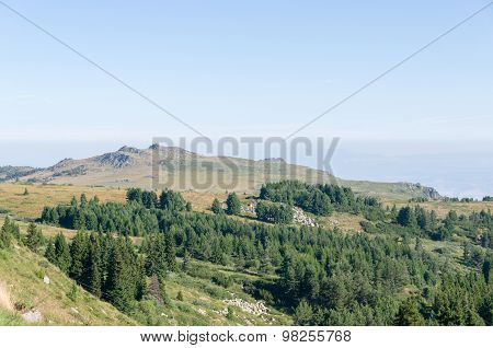Mountain