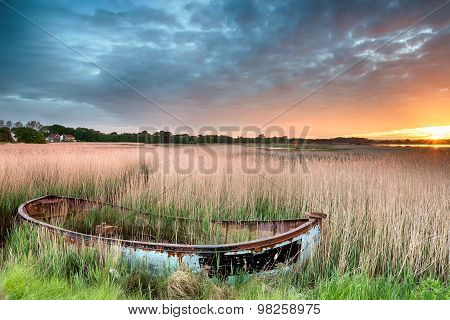 Boat In The Reeds