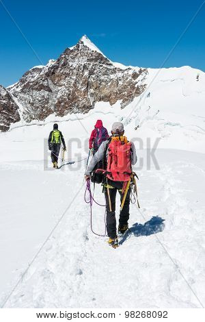 Group of climbers walking on a glacier.