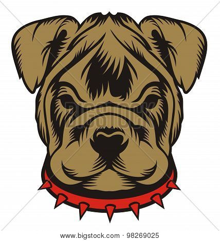 Bulldog Baby