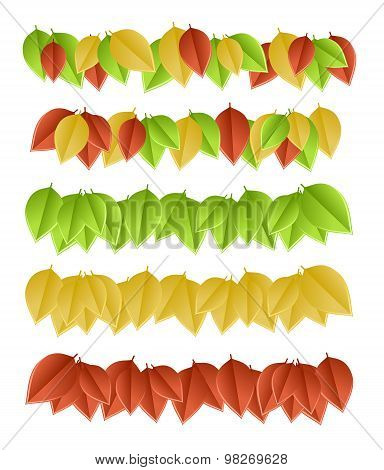 leaves on white
