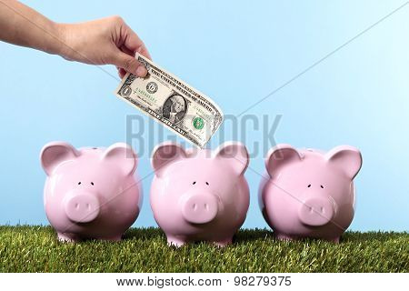 Piggy Bank Savings