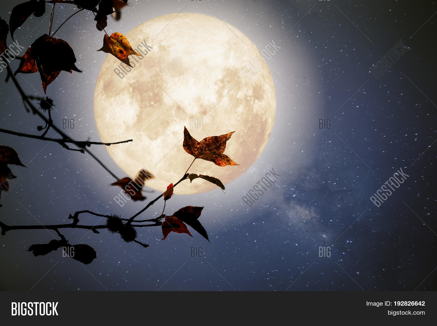 Beautiful Autumn Image & Photo (Free Trial) | Bigstock