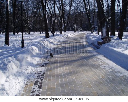 Winter Park Varis