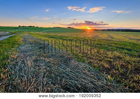 Sunset At Cultivated Land In The Countryside On A Summer.
