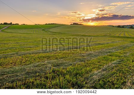 Sunset At Cultivated Land In The Countryside On A Summer.