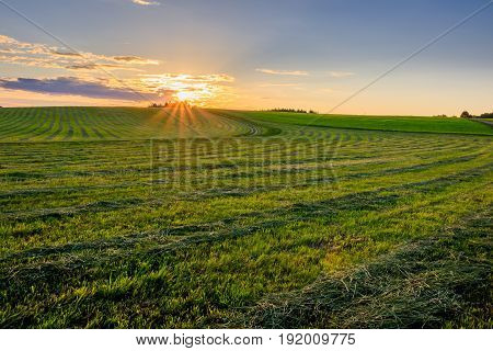 Sunrise At Cultivated Land In The Countryside On A Summer.