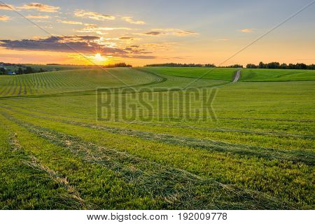 Sunrise At Cultivated Land In The Countryside On A Summer.