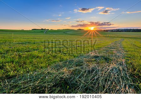 Sunset At Cultivated Land In The Countryside On A Summer.