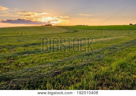 Sunrise At Cultivated Land In The Countryside On A Summer.