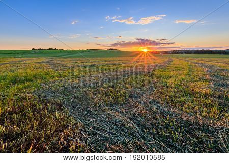 Sunset At Cultivated Land In The Countryside On A Summer.
