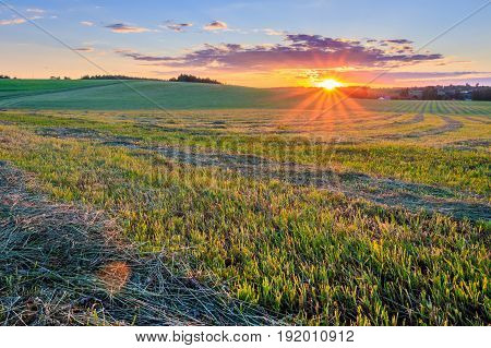 Sunset At Cultivated Land In The Countryside On A Summer.