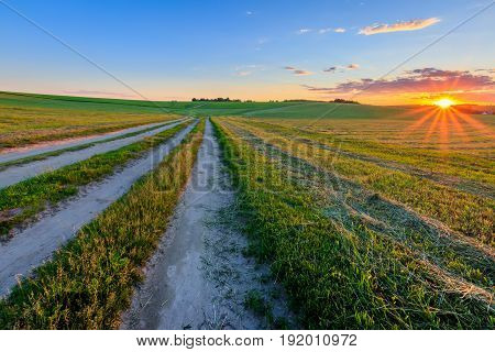 Road Through Cultivating The Land In The Countryside.