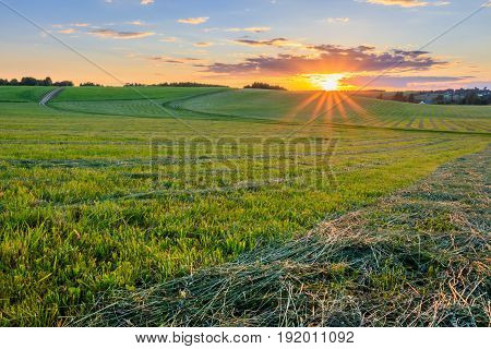 Sunset At Cultivated Land In The Countryside On A Summer.