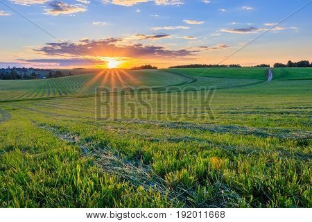 Sunrise At Cultivated Land In The Countryside On A Summer.