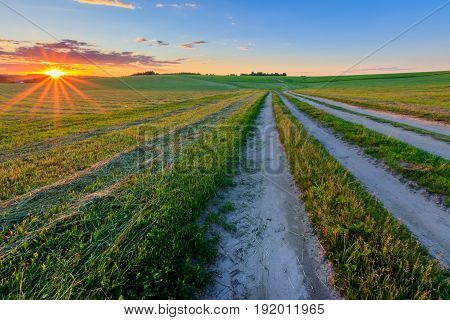 Road Through Cultivating The Land In The Countryside.
