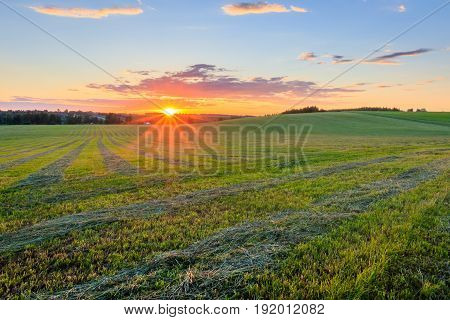 Sunrise At Cultivated Land In The Countryside On A Summer.