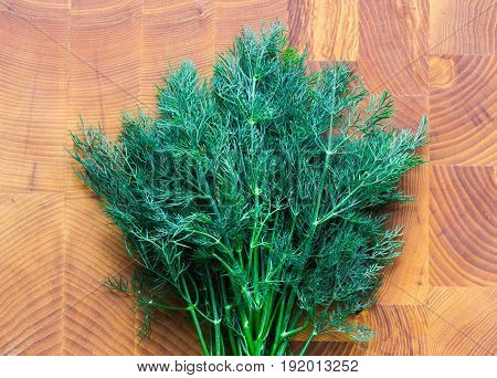 Green fennel on a wooden board.Bunch of dill on a wooden board