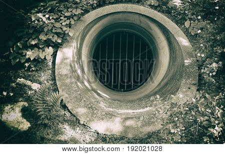 vintage sewer surrounded of some small plants
